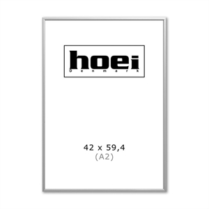 Silver Aluminum Frame - 42 x 59.4 cm ( A2 )
