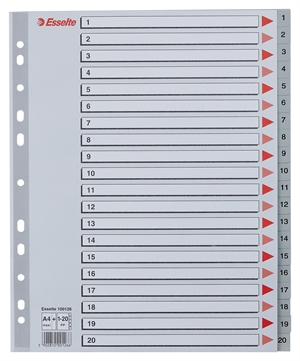 Esselte Register PP A4 maxi 1-20 gray