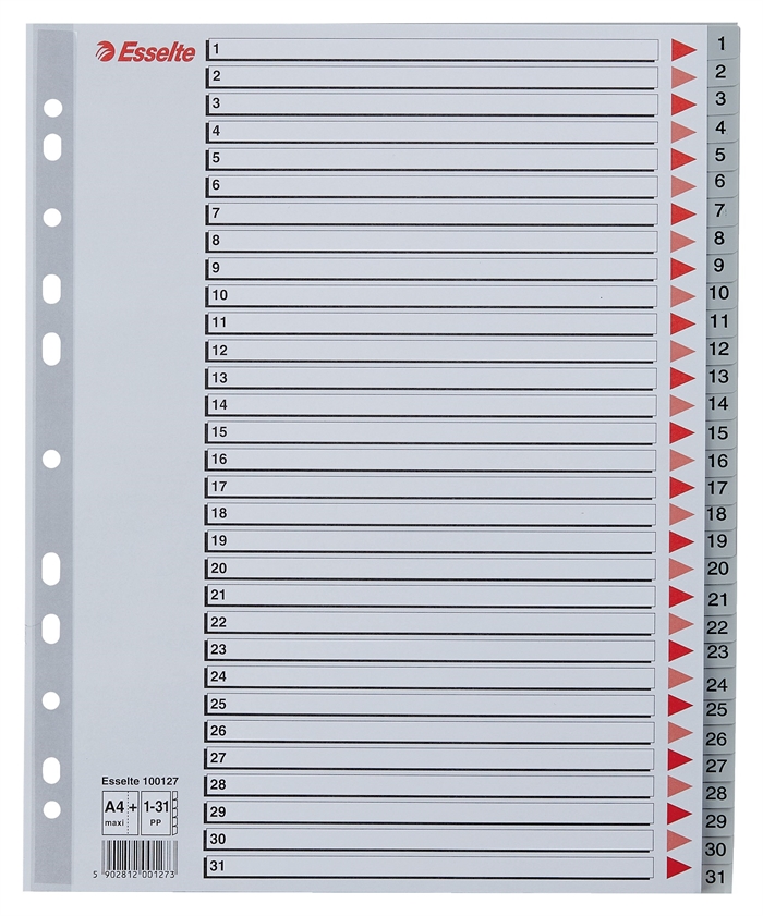 Esselte Register PP A4 maxi 1-31 gray