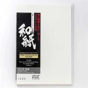 Awagami Premio Unryu - 165 g/m², 10 sheets