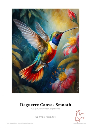 Hahnemühle Daguerre Canvas Smooth 420 g/m² - 17" x 12 meters